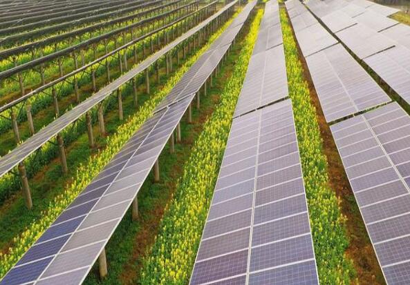 廣東清遠建設小型農光互補光伏發電站，工程總投資1.5億元