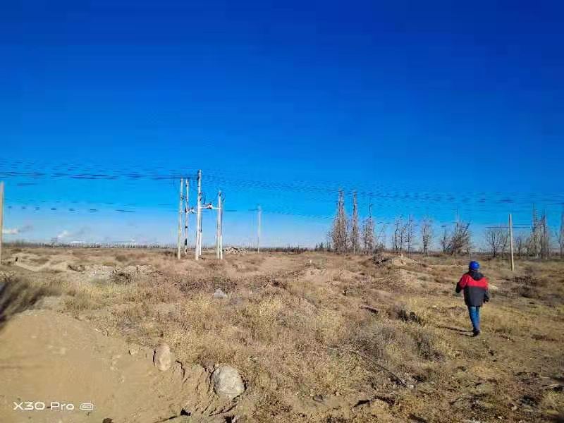 烏海電業局農電處千里山農電所：加強巡線，確保冬季電網安全