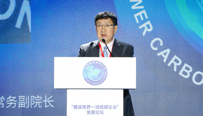 李政：實現雙碳目標 要秉承“不拖、不急”原則
