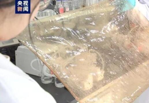 國產新型離子膜問世，有望在新能源的儲能領域廣泛應用