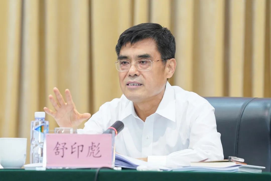舒印彪：強化系統本質安全 持續保障穩定運行