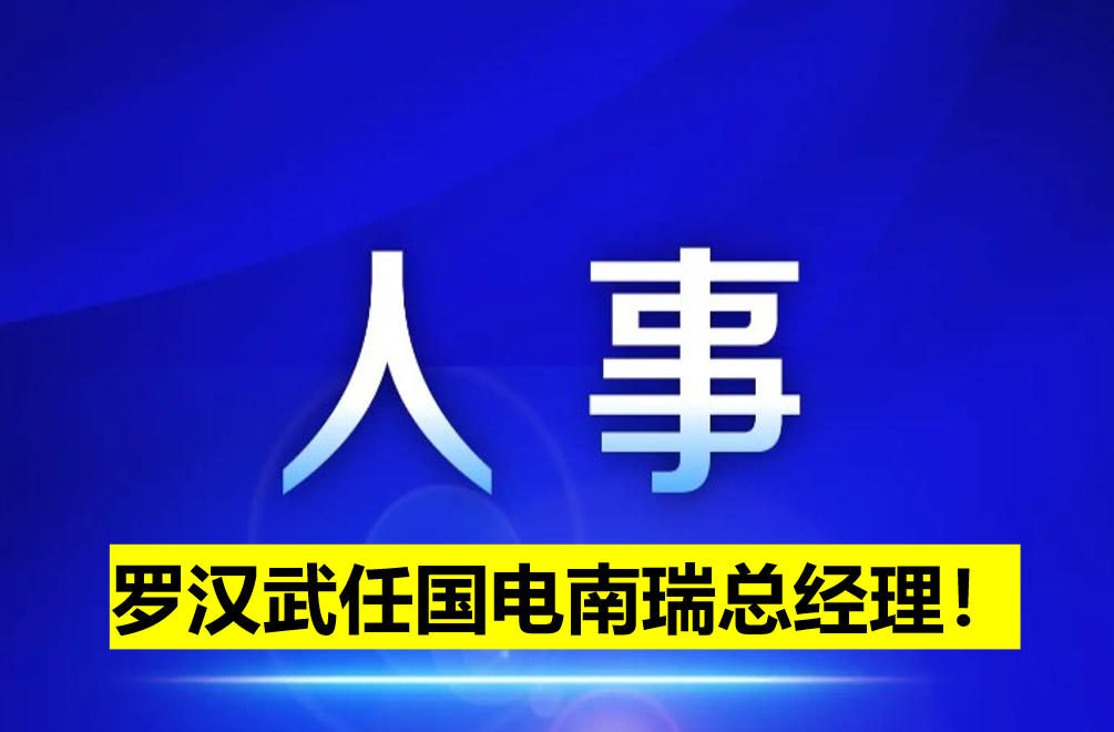 羅漢武任國電南瑞總經理！