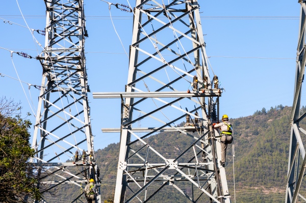 國網臺州市黃巖區供電公司：電網建設再優化 和合聚力強勁能